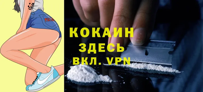 Cocaine Fish Scale  Шумерля 