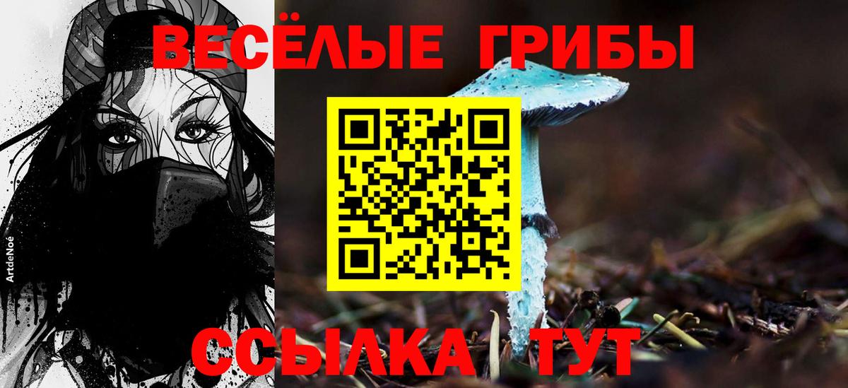 Галлюциногенные грибы ЛСД  Вход с VPN  Шумерля  Галлюциногенные грибы Cubensis 